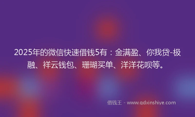 2025年的微信快速借钱5有：金满盈、你我贷-极融、祥云钱包、珊瑚买单、洋洋花呗等。
