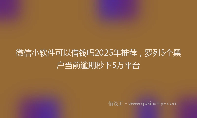微信小软件可以借钱吗2025年推荐，罗列5个黑户当前逾期秒下5万平台