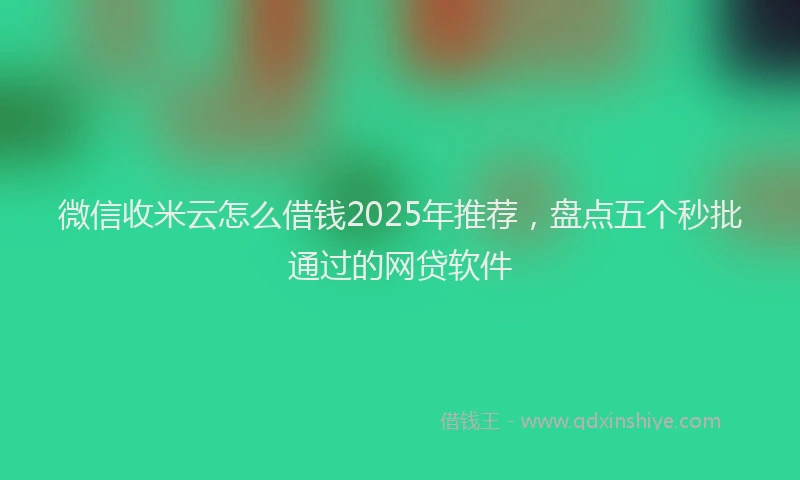 微信收米云怎么借钱2025年推荐，盘点五个秒批通过的网贷软件