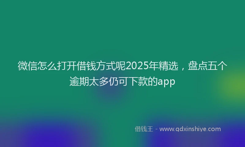 微信怎么打开借钱方式呢2025年精选，盘点五个逾期太多仍可下款的app