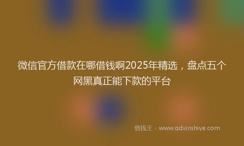 微信官方借款在哪借钱啊2025年精选，盘点五个网黑真正能下款的平台
