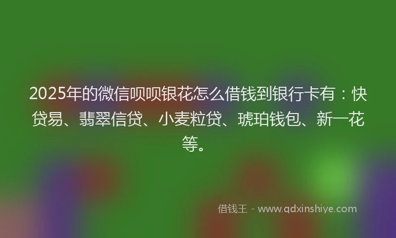 2025年的微信呗呗银花怎么借钱到银行卡有：快贷易、翡翠信贷、小麦粒贷、琥珀钱包、新一花等。