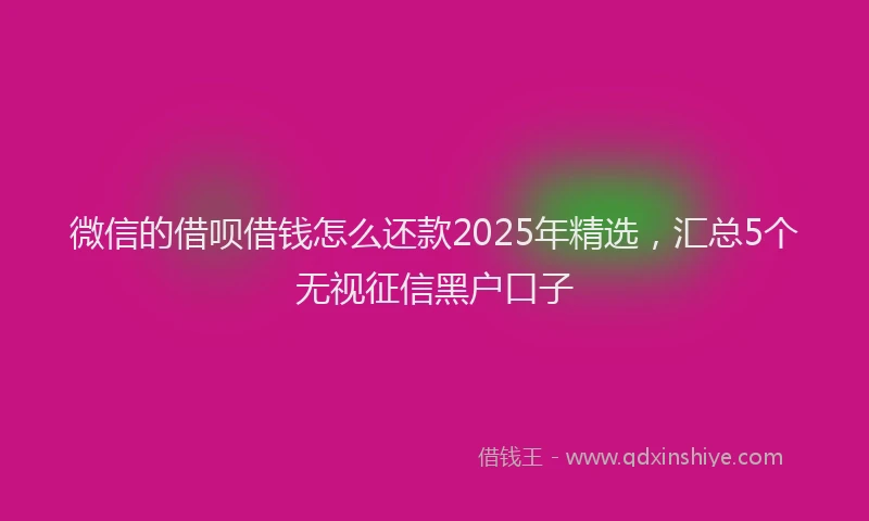 微信的借呗借钱怎么还款2025年精选，汇总5个无视征信黑户口子