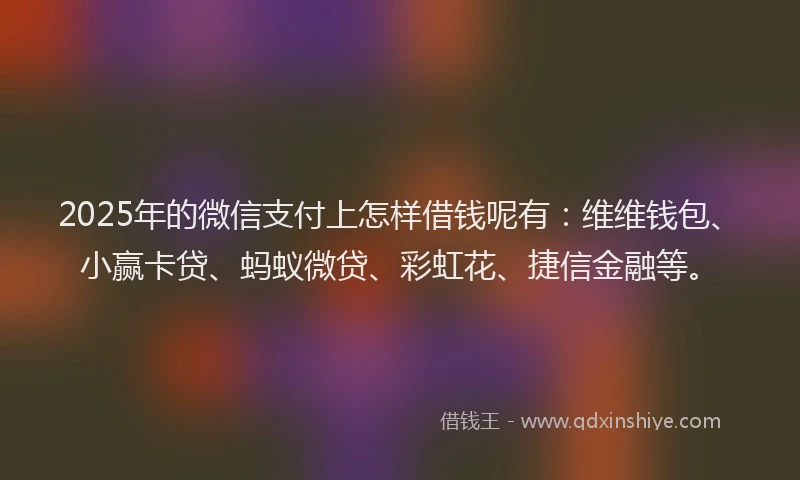 2025年的微信支付上怎样借钱呢有：维维钱包、小赢卡贷、蚂蚁微贷、彩虹花、捷信金融等。