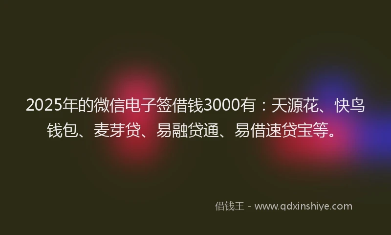 2025年的微信电子签借钱3000有：天源花、快鸟钱包、麦芽贷、易融贷通、易借速贷宝等。