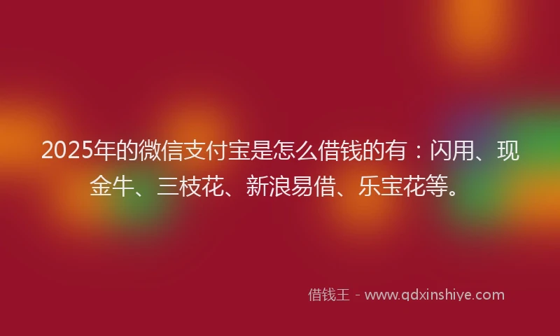 2025年的微信支付宝是怎么借钱的有：闪用、现金牛、三枝花、新浪易借、乐宝花等。