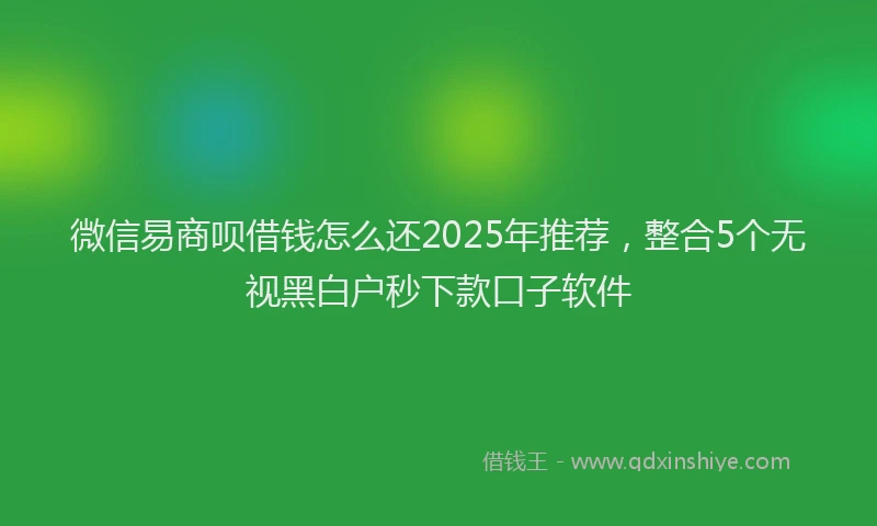 微信易商呗借钱怎么还2025年推荐，整合5个无视黑白户秒下款口子软件