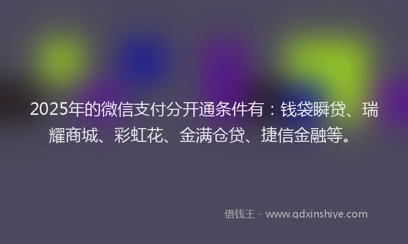 2025年的微信支付分开通条件有：钱袋瞬贷、瑞耀商城、彩虹花、金满仓贷、捷信金融等。