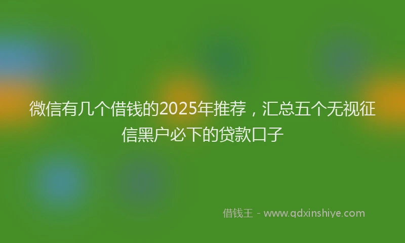 微信有几个借钱的2025年推荐，汇总五个无视征信黑户必下的贷款口子