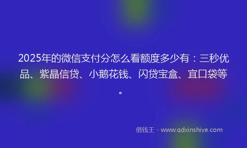 2025年的微信支付分怎么看额度多少有：三秒优品、紫晶信贷、小鹅花钱、闪贷宝盒、宜口袋等。