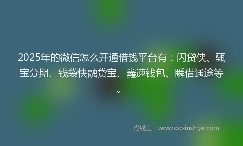 2025年的微信怎么开通借钱平台有：闪贷侠、甄宝分期、钱袋快融贷宝、鑫速钱包、瞬借通途等。