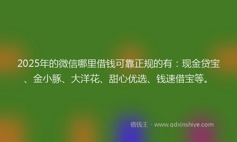 2025年的微信哪里借钱可靠正规的有：现金贷宝、金小豚、大洋花、甜心优选、钱速借宝等。