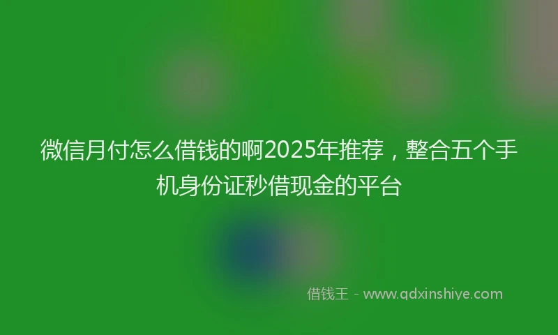 微信月付怎么借钱的啊2025年推荐，整合五个手机身份证秒借现金的平台