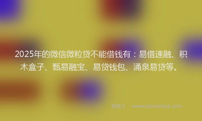 2025年的微信微粒贷不能借钱有：易借速融、积木盒子、甄易融宝、易贷钱包、涌泉易贷等。