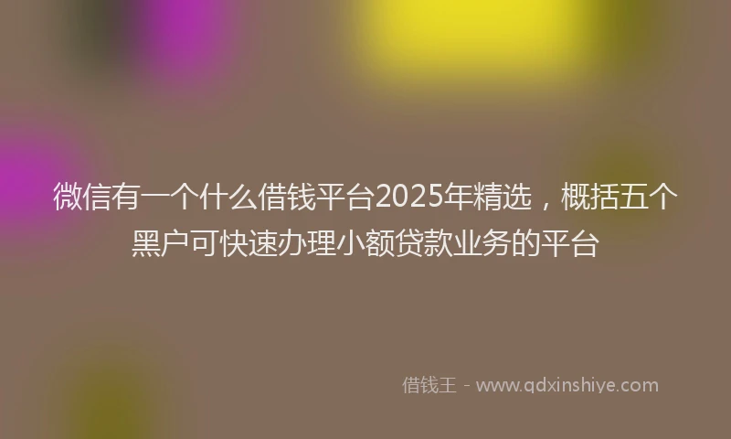 微信有一个什么借钱平台2025年精选，概括五个黑户可快速办理小额贷款业务的平台