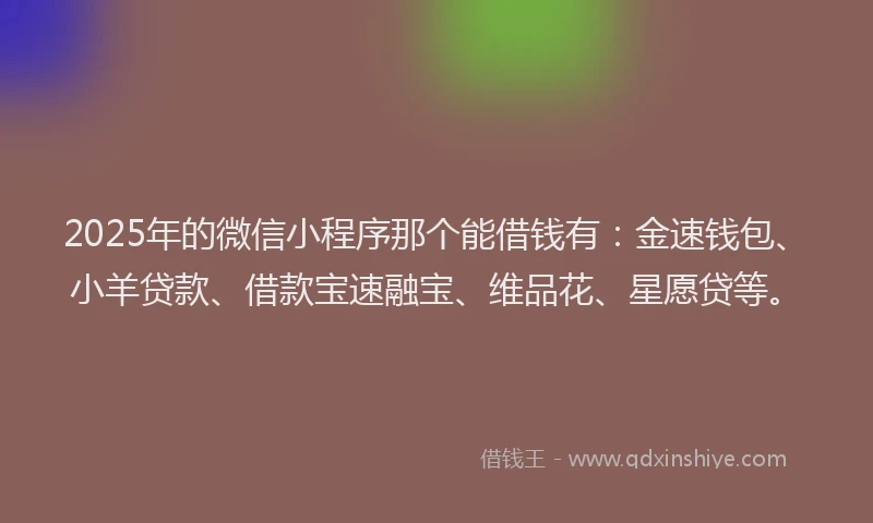 2025年的微信小程序那个能借钱有：金速钱包、小羊贷款、借款宝速融宝、维品花、星愿贷等。