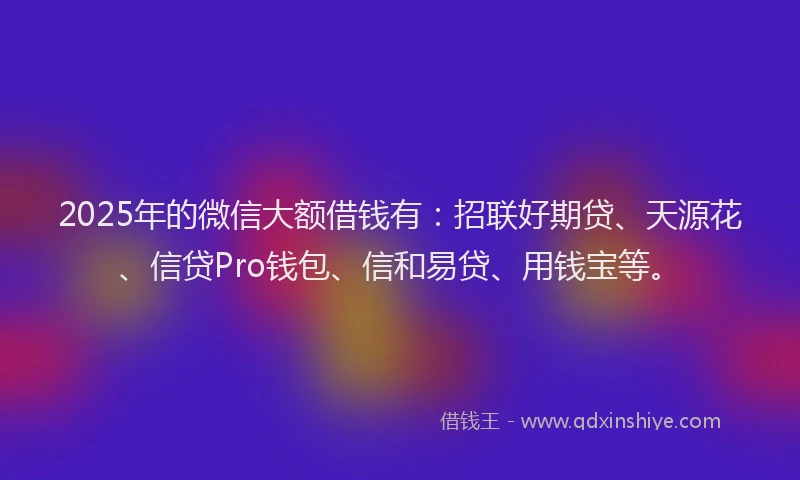 2025年的微信大额借钱有：招联好期贷、天源花、信贷Pro钱包、信和易贷、用钱宝等。