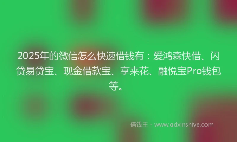2025年的微信怎么快速借钱有：爱鸿森快借、闪贷易贷宝、现金借款宝、享来花、融悦宝Pro钱包等。
