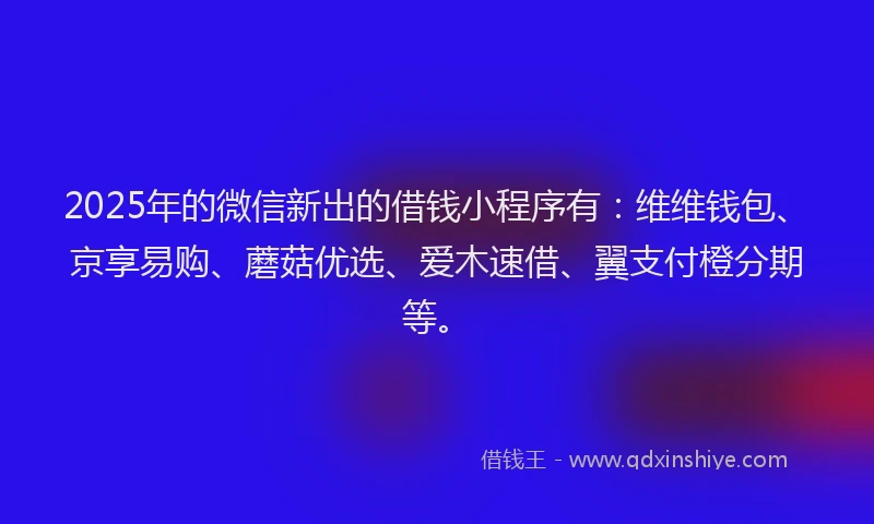 2025年的微信新出的借钱小程序有：维维钱包、京享易购、蘑菇优选、爱木速借、翼支付橙分期等。