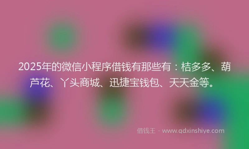 2025年的微信小程序借钱有那些有：桔多多、葫芦花、丫头商城、迅捷宝钱包、天天金等。