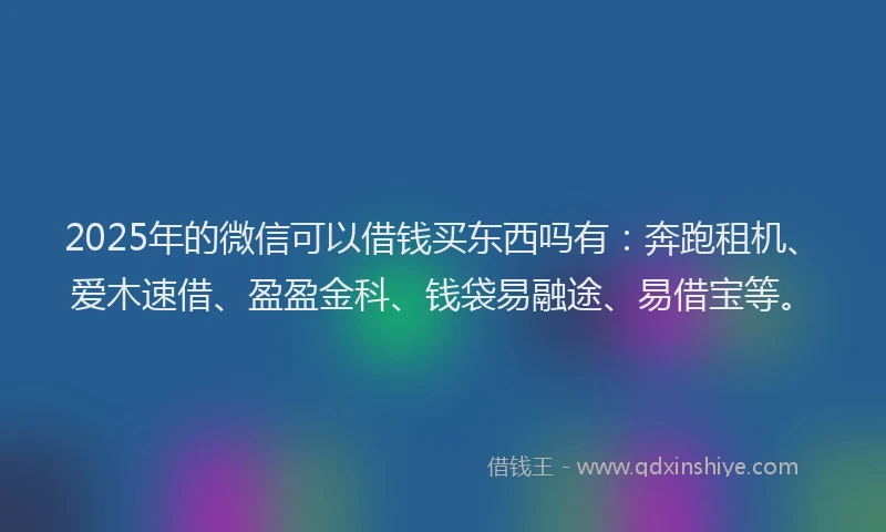 2025年的微信可以借钱买东西吗有：奔跑租机、爱木速借、盈盈金科、钱袋易融途、易借宝等。