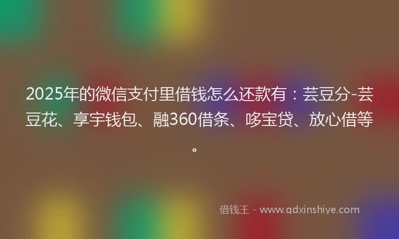 2025年的微信支付里借钱怎么还款有：芸豆分-芸豆花、享宇钱包、融360借条、哆宝贷、放心借等。