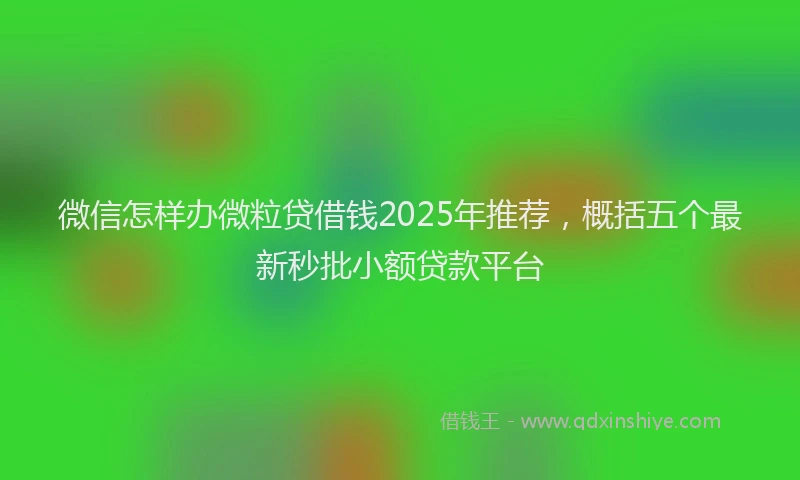 微信怎样办微粒贷借钱2025年推荐，概括五个最新秒批小额贷款平台