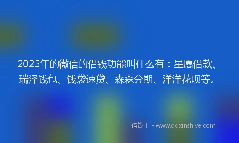 2025年的微信的借钱功能叫什么有：星愿借款、瑞泽钱包、钱袋速贷、森森分期、洋洋花呗等。