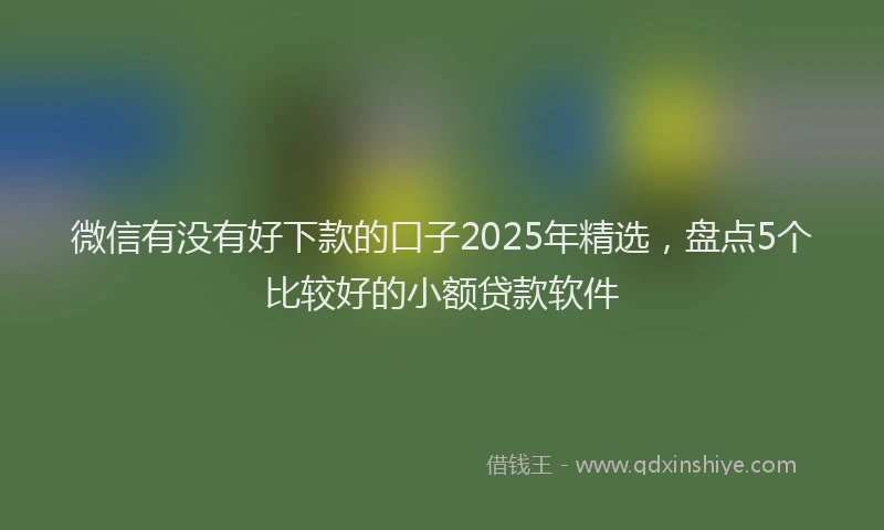 微信有没有好下款的口子2025年精选，盘点5个比较好的小额贷款软件