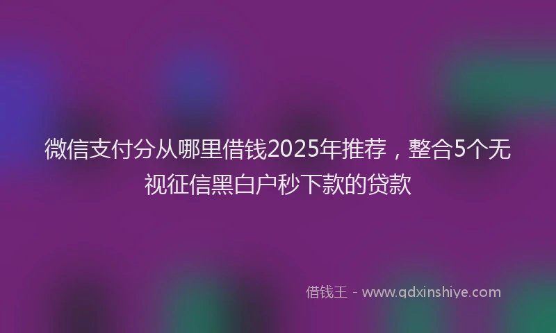 微信支付分从哪里借钱2025年推荐，整合5个无视征信黑白户秒下款的贷款