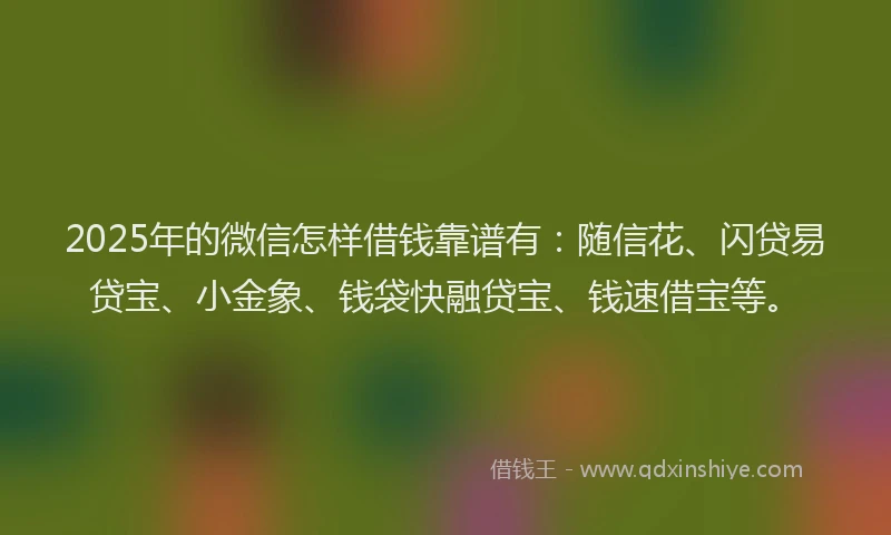 2025年的微信怎样借钱靠谱有：随信花、闪贷易贷宝、小金象、钱袋快融贷宝、钱速借宝等。