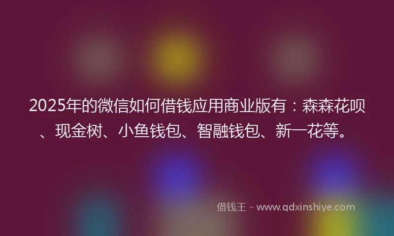 2025年的微信如何借钱应用商业版有：森森花呗、现金树、小鱼钱包、智融钱包、新一花等。
