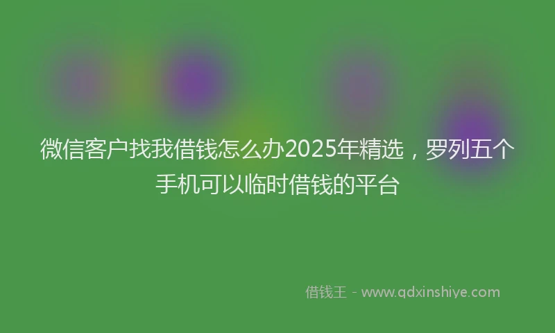 微信客户找我借钱怎么办2025年精选，罗列五个手机可以临时借钱的平台