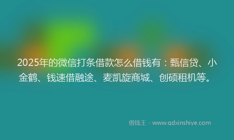 2025年的微信打条借款怎么借钱有：甄信贷、小金鹤、钱速借融途、麦凯旋商城、创硕租机等。