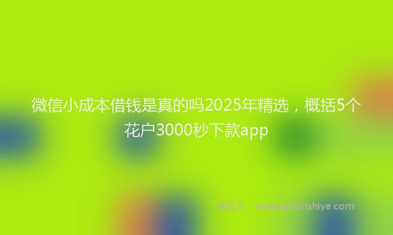 微信小成本借钱是真的吗2025年精选，概括5个花户3000秒下款app