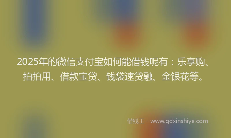 2025年的微信支付宝如何能借钱呢有：乐享购、拍拍用、借款宝贷、钱袋速贷融、金银花等。