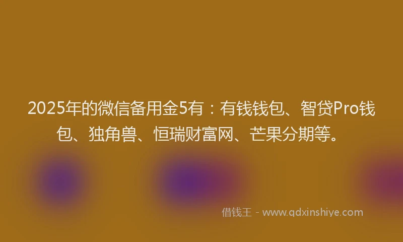 2025年的微信备用金5有：有钱钱包、智贷Pro钱包、独角兽、恒瑞财富网、芒果分期等。