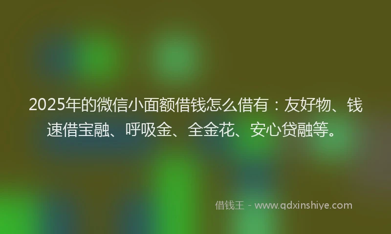 2025年的微信小面额借钱怎么借有：友好物、钱速借宝融、呼吸金、全金花、安心贷融等。