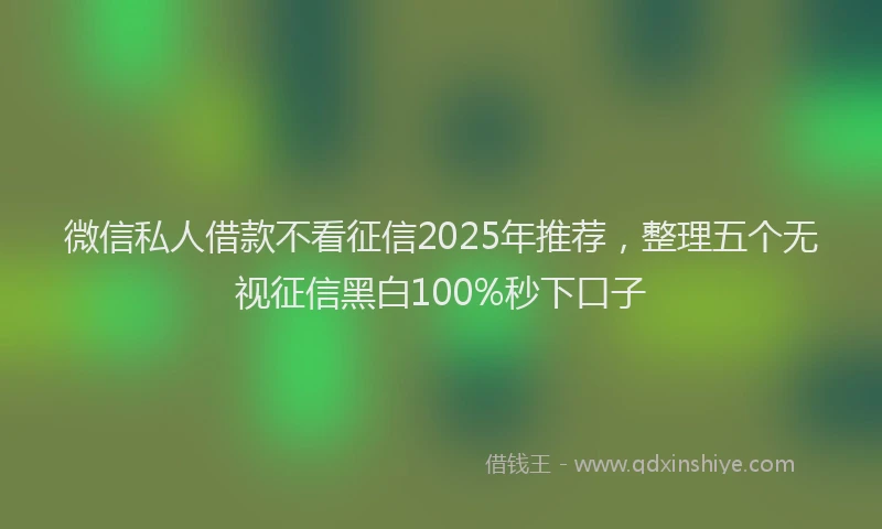 微信私人借款不看征信2025年推荐，整理五个无视征信黑白100%秒下口子