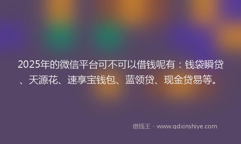 2025年的微信平台可不可以借钱呢有：钱袋瞬贷、天源花、速享宝钱包、蓝领贷、现金贷易等。