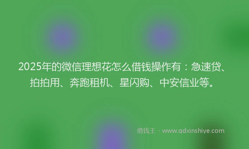 2025年的微信理想花怎么借钱操作有：急速贷、拍拍用、奔跑租机、星闪购、中安信业等。
