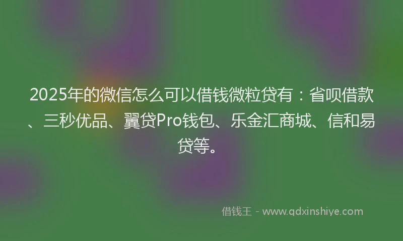 2025年的微信怎么可以借钱微粒贷有：省呗借款、三秒优品、翼贷Pro钱包、乐金汇商城、信和易贷等。