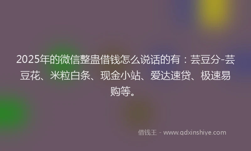 2025年的微信整蛊借钱怎么说话的有：芸豆分-芸豆花、米粒白条、现金小站、爱达速贷、极速易购等。