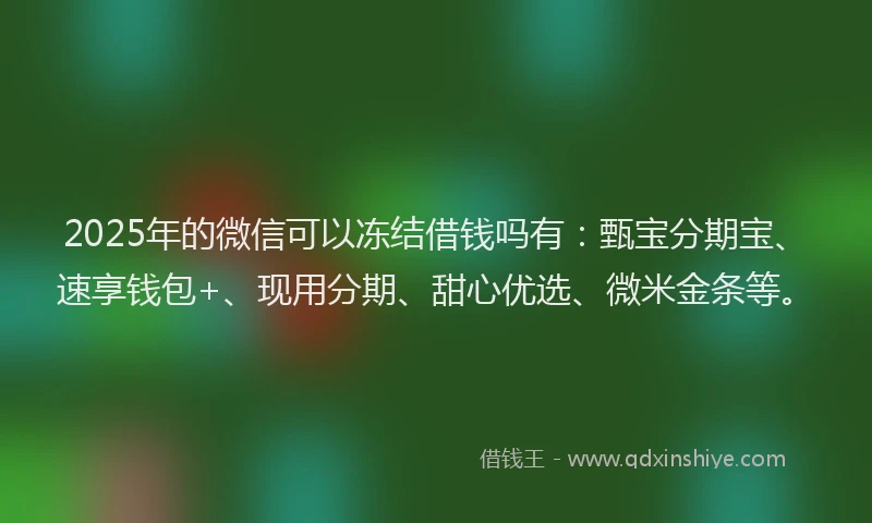 2025年的微信可以冻结借钱吗有：甄宝分期宝、速享钱包+、现用分期、甜心优选、微米金条等。