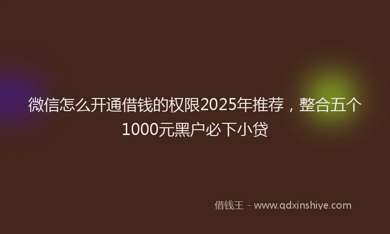微信怎么开通借钱的权限2025年推荐，整合五个1000元黑户必下小贷