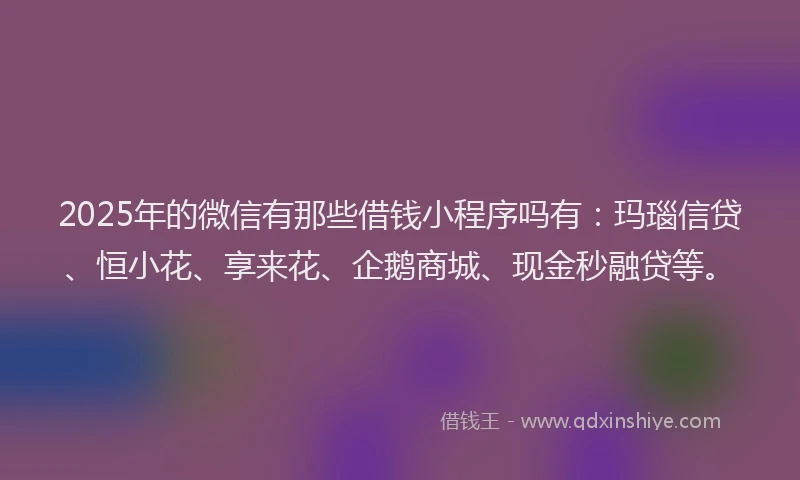 2025年的微信有那些借钱小程序吗有：玛瑙信贷、恒小花、享来花、企鹅商城、现金秒融贷等。