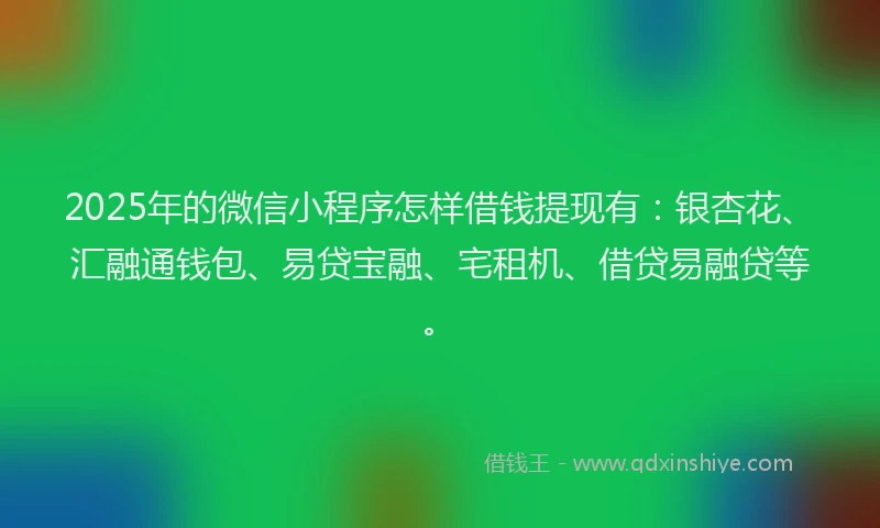 2025年的微信小程序怎样借钱提现有：银杏花、汇融通钱包、易贷宝融、宅租机、借贷易融贷等。