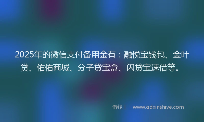 2025年的微信支付备用金有：融悦宝钱包、金叶贷、佑佑商城、分子贷宝盒、闪贷宝速借等。
