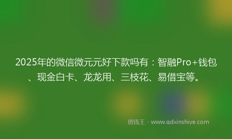 2025年的微信微元元好下款吗有：智融Pro+钱包、现金白卡、龙龙用、三枝花、易借宝等。