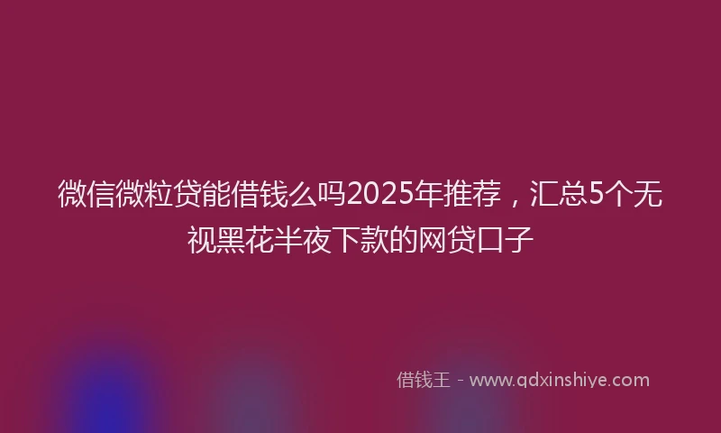 微信微粒贷能借钱么吗2025年推荐，汇总5个无视黑花半夜下款的网贷口子